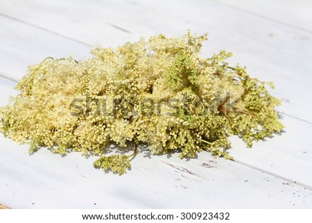 meadowsweet flowers for house tea on a white board