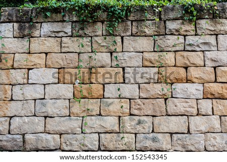 Big bricks and vegetation background