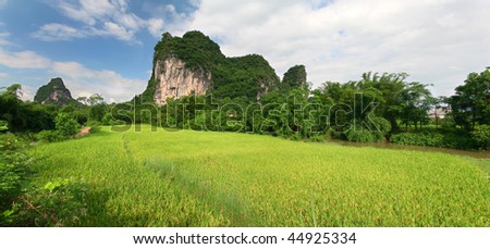 panorama landscape china yangshuo rice field and mountain