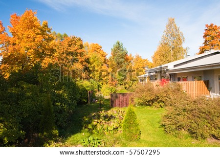 autumn backyard