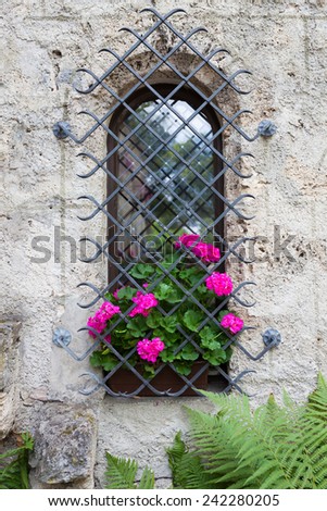 Castle window and vivid pink flowers