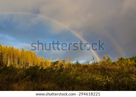 Rainbow and forest landscape