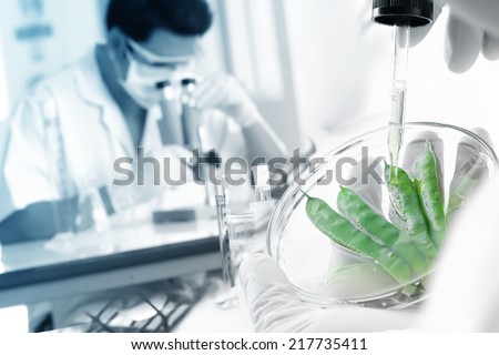 Researcher are plant extracted in laboratory room.