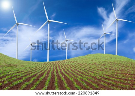 green corn fields with wind turbines generating electricity