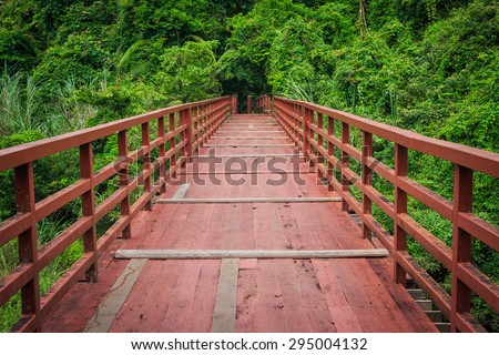 Wood path over river and through tropical forest  in the middle of the forest.