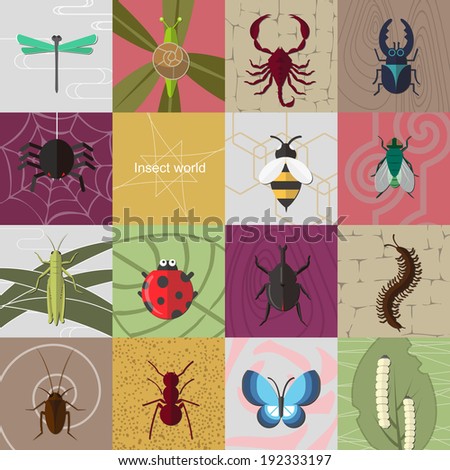 Insect world. It is a collection of fifteen insects. Including snail, dragonfly, grasshopper, spider, scorpion, silkworm, flies etc.