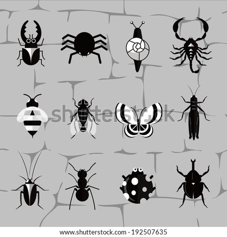 Insect world in black and white tones.  It is a collection of twelve insects in black and white tones. Including snail, grasshopper, spider, scorpion, ants, cockroach, flies etc.