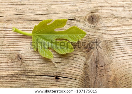 Leave of black fig tree on a wooden surface