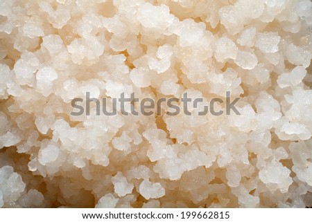 Water kefir grains