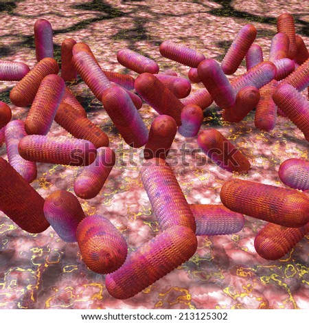 Digital visualization of EHEC bacteria Digital visualization of EHEC bacteria