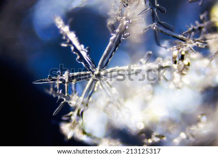Micro Photo of Snow Crystals