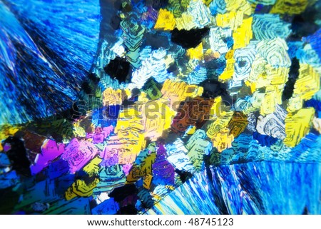 microcrystals of citric acid in polarized light