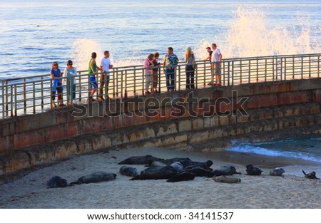 LA JOLLA,CA - JULY 20: Public gather to take a look at the seals that the city of San Diego has been ordered to remove from La Jolla Children\'s Pool starting July 22, 2009 on July 20, 2009 in La Jolla