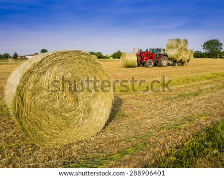 Tractor collecting hay bales in the fields
