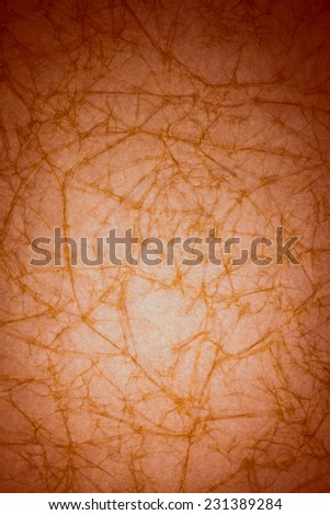 vintage brown paper texture with crease background
