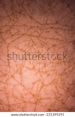 brown paper texture with crease background