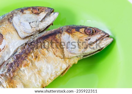 Fish fry side view/mackerel fry on green disk