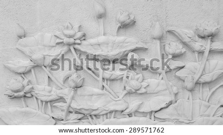 White Lotus Stucco cement background