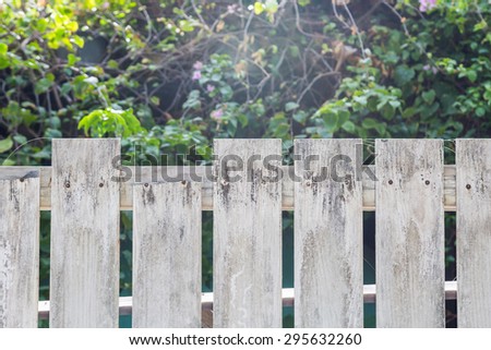 White old wooden fence with flower and tree background