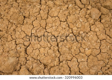 Cracked ground dry earth dry land texture background,Dehydration plants do not grow.