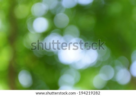 Green bokeh from tree, Natural green blurred background, Defocused green abstract background.