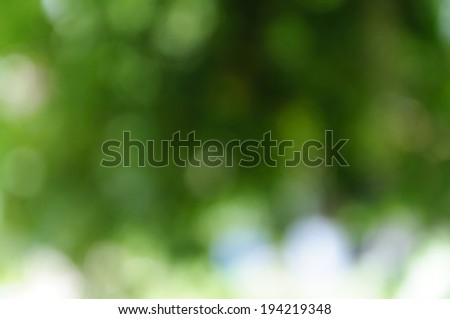 Green bokeh from tree,  Natural green blurred background, Defocused green abstract background.