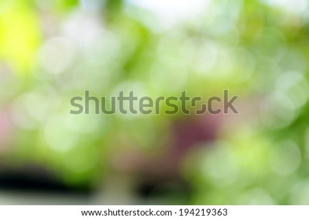 Green bokeh from tree, Natural green blurred background, Defocused green abstract background.