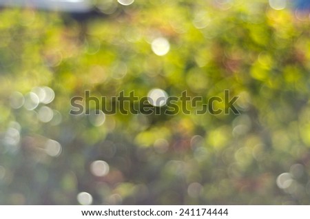 blurred flower background, Defocused flower abstract background.