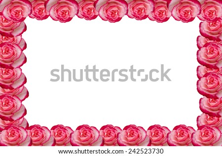 Damask rose frame isolated on white background