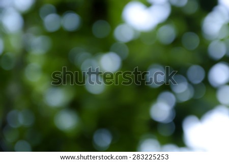 Green bokeh abstract light background, Natural green blurred background, Defocused green abstract background.