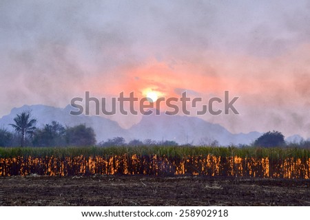 Blurred Sugar cane burning,dust pollution ,Air pollution