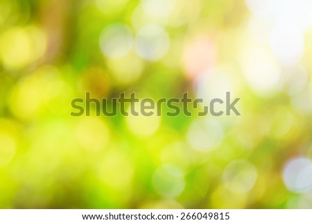 Bokeh background from green leaf light ray. eco concept