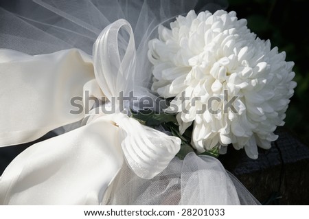 stock photo white chrysanthemum wedding decoration
