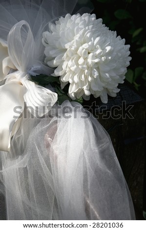 Chrysanthemum Wedding