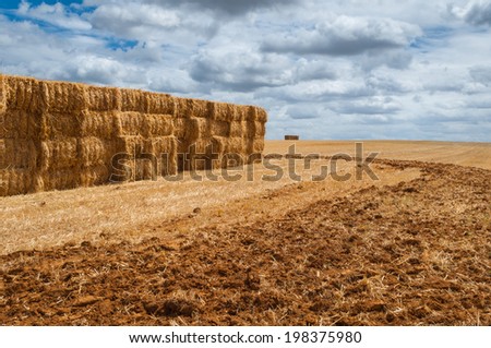 straw bales over mown field, cloud cover,detail earth raised by the plow