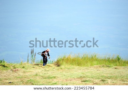Worker cutting grass on the hill with weed trimmer