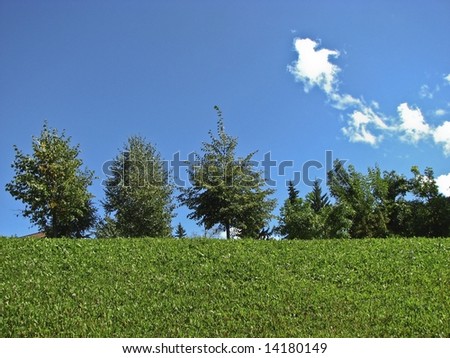 Green field and Tree