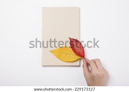 female(woman) hand hold two yellow and red autumn(fall) leaves with a ivory book(diary, note) isolated white, top view.