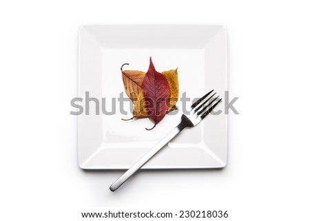 A white square dish and fork and autumn(fall) red and yellow leaves isolated white, top view at the studio.