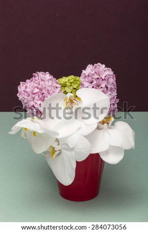 White Orchid flowers and pink Lavender flowers with red vase(cup) in the wine(chocolate) background on the emerald green bottom at the studio.