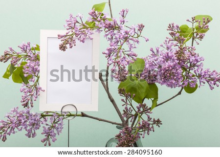 A purple(pink) flowers with paper photo frame on the grey paper bottom, emerald green background at the studio.