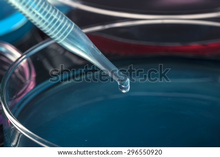 A man\'s hand hold and lean a glass spoid with blue(cyan) water(liquid, fluid) to the petri dish(Schale) in the laboratory