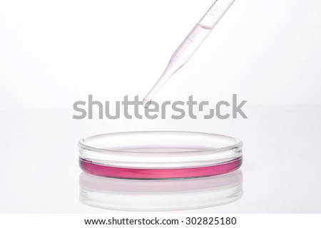 A spuit(dropping pipet, pipette, medicine dropper) dropping to glass schale(petri dish) with red(magenta, pink) liquid(fluid), blood for  Internal medicine at the laboratory isolated white.