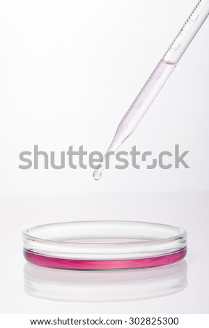 A spuit(dropping pipet, pipette, medicine dropper) dropping to glass schale(petri dish) with red(magenta, pink) liquid(fluid), blood for Internal medicine at the laboratory isolated white.