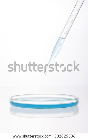 A spuit(dropping pipet, pipette, medicine dropper) dropping to glass schale(petri dish) with blue(cyan) liquid(fluid) for chemical at the laboratory isolated white.