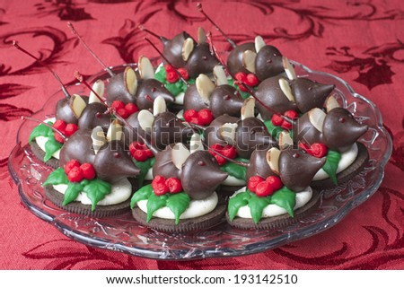 Holiday Chocolate Candy Mice on a cookie with frosting holly leaves and berries