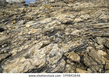 Low Tide tide-pool rocks exposed showing smooth erosion caused by decades of water