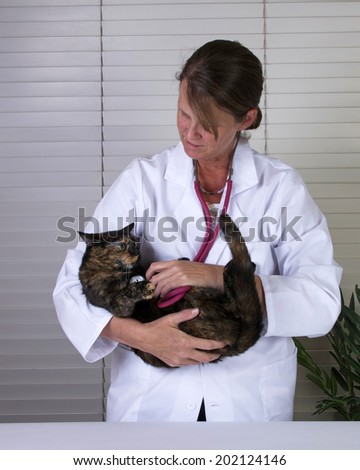 Female Tortoiseshell Tabby Cat being examined by a caring female veterinarian in the arms of examiner