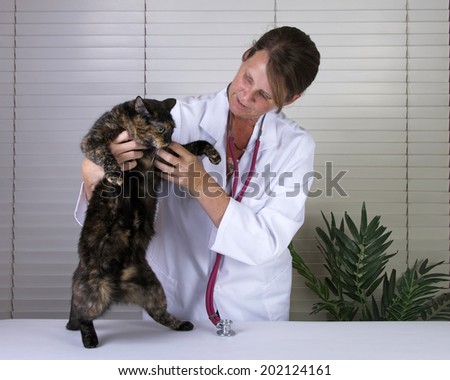 Female Tortoiseshell Tabby Cat being examined by a caring  female veterinarian on exam table
