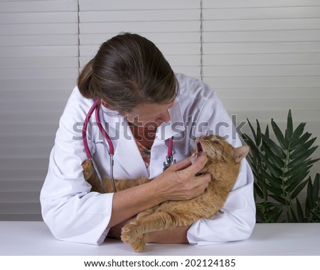 Male orange tabby cat on exam table with caring female veterinarian examining